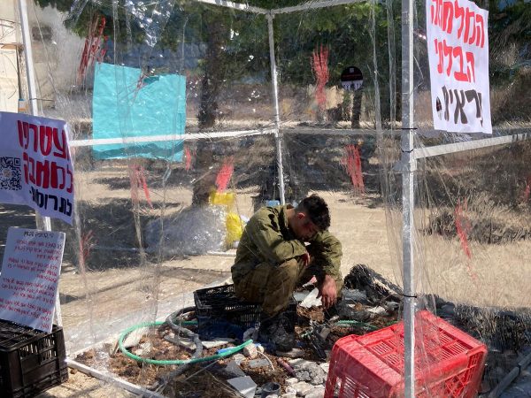 עמותת שמרו נפשם מבקרת במייצג הפוסט טראומה של המכינה הירושלמית